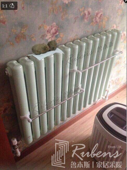 1xbet暖气片烤红薯